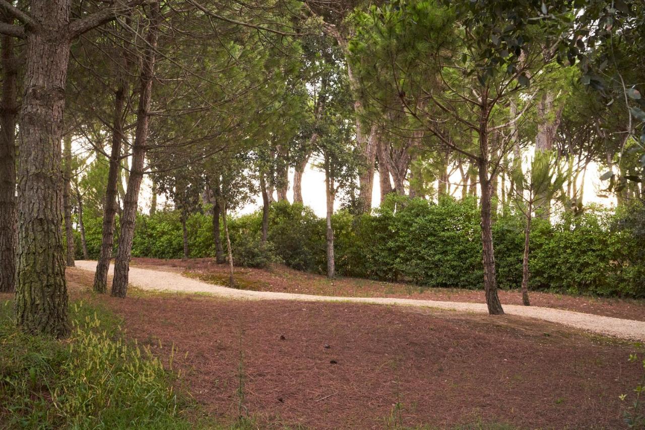 Aparthotel La Pineta Lido di Jesolo Dış mekan fotoğraf